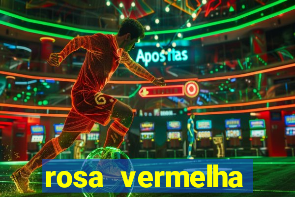 rosa vermelha (letra e cifra)
